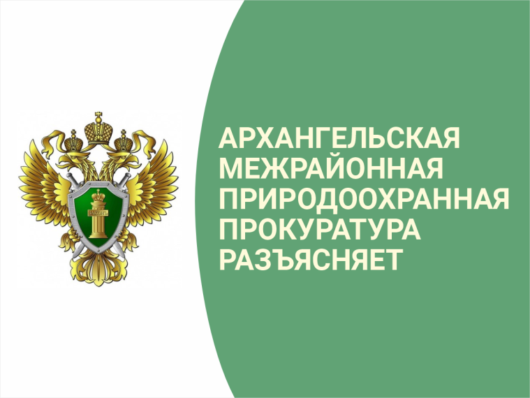 Дополнен перечень категорий потребителей услуги по обращению с твердыми коммунальными отходами.
